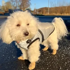 Helse Til Hunde|Hundeferien^Ollipet Super Flex | Selvklæbende bandage 1 stk
