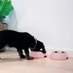 Til Opdrættere|Madskål Og Vandskål^Ollipet Sweetie Bowl | OUTLET