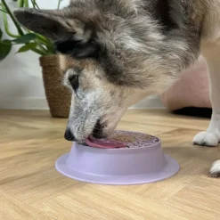 Snusemåtter/Slikkeplader^Ollipet Sweet Paw 2i1 | Slikkeskål