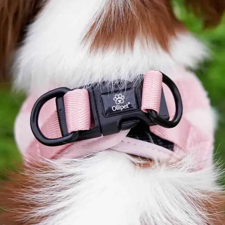 Hundeseler|Lyserøde Favoritter^Ollipet Teddy Step-in hundesele | Lyserød