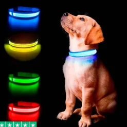 Hundehalsbånd|Løbeturen^Ollipet The Stripe LED Collar | Halsbånd med lys