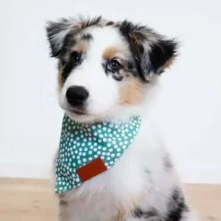 Påskekurven|Hundetøj^Ollipet Trendy Bandana