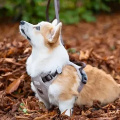 Hundeseler^Ollipet Tweed H-sele | Coffee