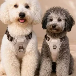 Hundeseler^Ollipet Tweed H-sele | Coffee