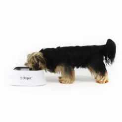 Bestsellers|Hundeferien^Ollipet Vandskål | Anti Spild