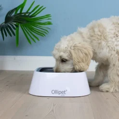 Bestsellers|Hundeferien^Ollipet Vandskål | Anti Spild