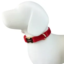 Hundehalsbånd|Julekurven^Ollipet Velour justerbar halsbånd | M. Guldspænde