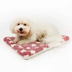 Hundesenge^Ollipet Wellness Madras