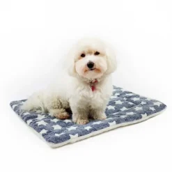 Hundesenge^Ollipet Wellness Madras