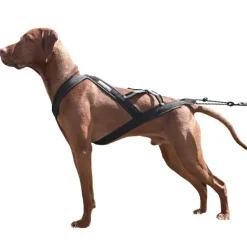 Hundeseler|Løbeturen^Ollipet X-Back Løbesele