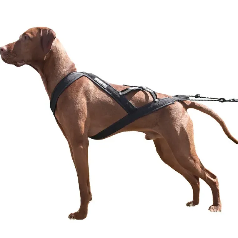 Hundeseler|Løbeturen^Ollipet X-Back Løbesele