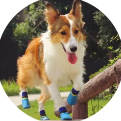 Efterårsklar|Hundesko^FashionDoggy Outdoor waterproof pet socks - kort skaft