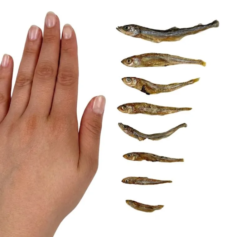 Godbidder & Smagsvarianter|Single Protein & Foder & Godbidder^Ozami Dog Snack Dried Smelt | 50g