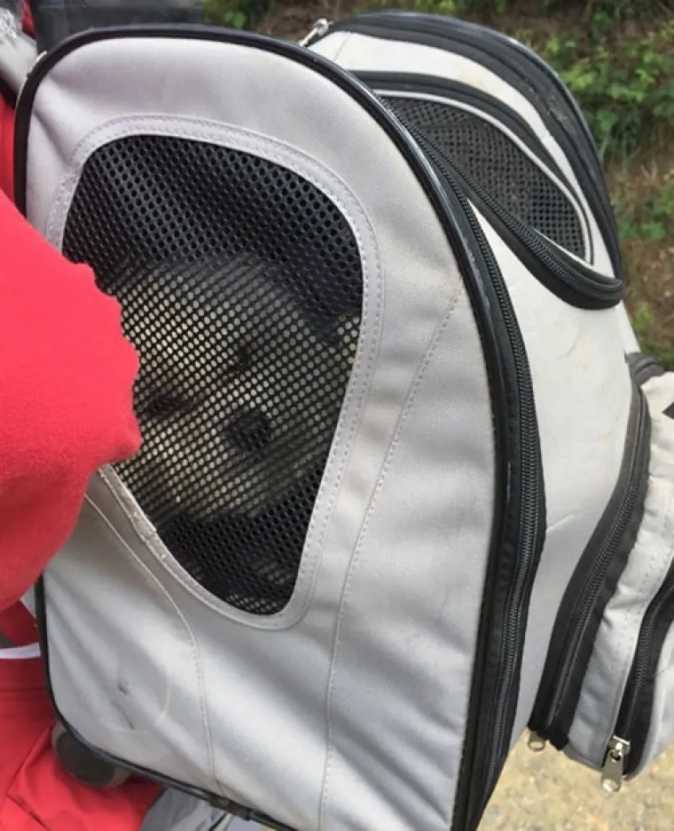 Rygsæk Til Hunde^Ozami Luksus hundetrolley / rygsæk
