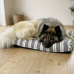 Hundesenge^Ozami stribet Hundemadras