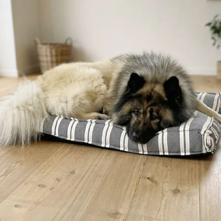 Hundesenge^Ozami stribet Hundemadras