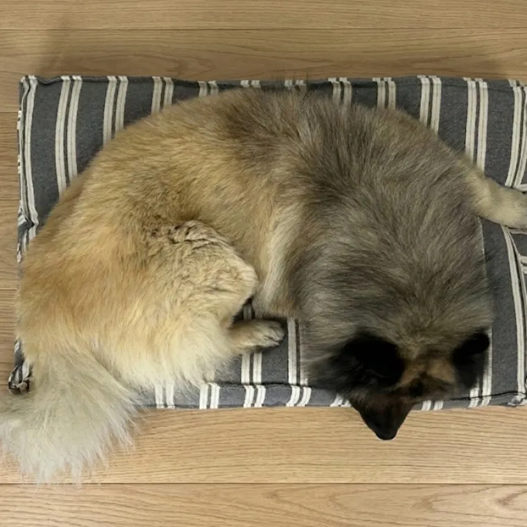 Hundesenge^Ozami stribet Hundemadras