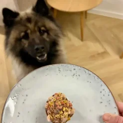 Hundefødselsdag|Godbidder Og Gnaveben^ Pakketilbud | Bag-selv Hundekage