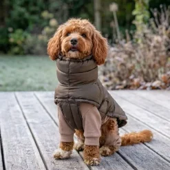 Hundetøj^ Pakketilbud | Ollipet Alpine Explorer og Ollipet Cozy Warmer