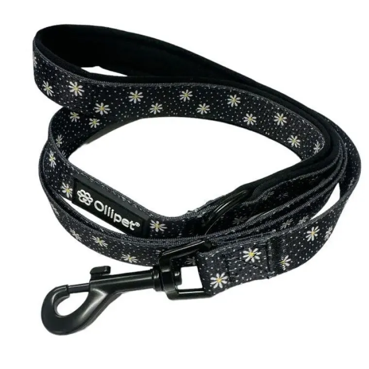 Hundeseler|Ollipet City Lux^ Pakketilbud | Ollipet City Lux sæt | Margueritter
