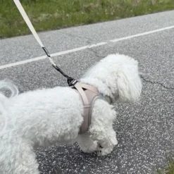 Hundeseler|Hundesnor^ Pakketilbud | Ollipet For Wagging tails sele og snor