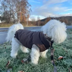 ❄️Klar Til Vintervejret|Efterårsklar^ Pakketilbud | Ollipet Mokkashield m. Camel Sweater