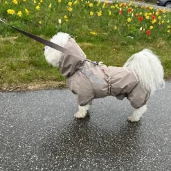 Hundetøj^ Pakketilbud | Ollipet Poncho m. snor