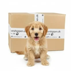 Hvalpelegetøj|Doggy Surprise Box^ Pakketilbud | Puppy Surprise Box