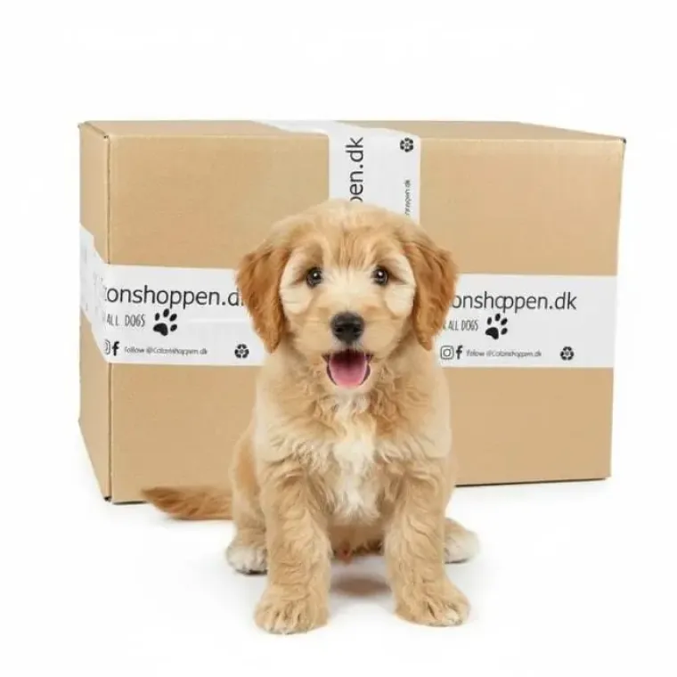 Hvalpelegetøj|Doggy Surprise Box^ Pakketilbud | Puppy Surprise Box