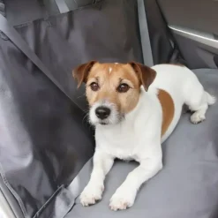 Biltransport Af Hund^Pawise Bilsædebeskytter