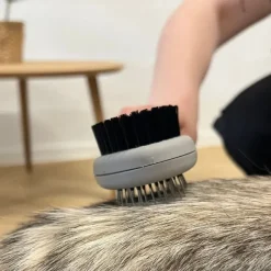 Pelspleje|Groomingsæt^Pawise Børstesæt | 3 stk