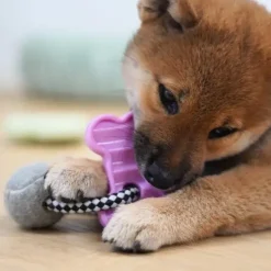 Bolde|Reb-Legetøj^Pawise Puppy Life Reblegetøj m. Tennisbold og knogle