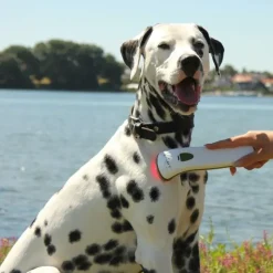 Helse Til Hunde^Photizo Vetcare | Rød og nær-infrarød LED-lysterapi til dyr