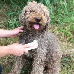 Helse Til Hunde^Photizo Vetcare | Rød og nær-infrarød LED-lysterapi til dyr
