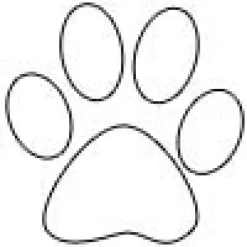 Gaveidéer Til Hundeelskeren|Artikler Til Hjemmet^Ollipet Poteklistermærker 20 stk | OUTLET
