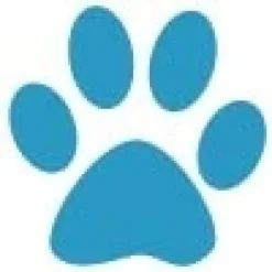 Gaveidéer Til Hundeelskeren|Artikler Til Hjemmet^Ollipet Poteklistermærker 20 stk | OUTLET