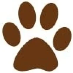 Gaveidéer Til Hundeelskeren|Artikler Til Hjemmet^Ollipet Poteklistermærker 20 stk | OUTLET