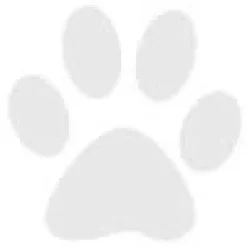 Gaveidéer Til Hundeelskeren|Artikler Til Hjemmet^Ollipet Poteklistermærker 20 stk | OUTLET