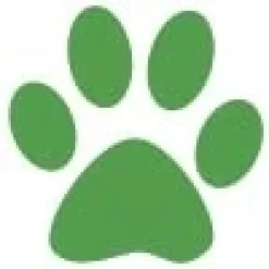 Gaveidéer Til Hundeelskeren|Artikler Til Hjemmet^Ollipet Poteklistermærker 20 stk | OUTLET