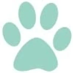 Gaveidéer Til Hundeelskeren|Artikler Til Hjemmet^Ollipet Poteklistermærker 20 stk | OUTLET