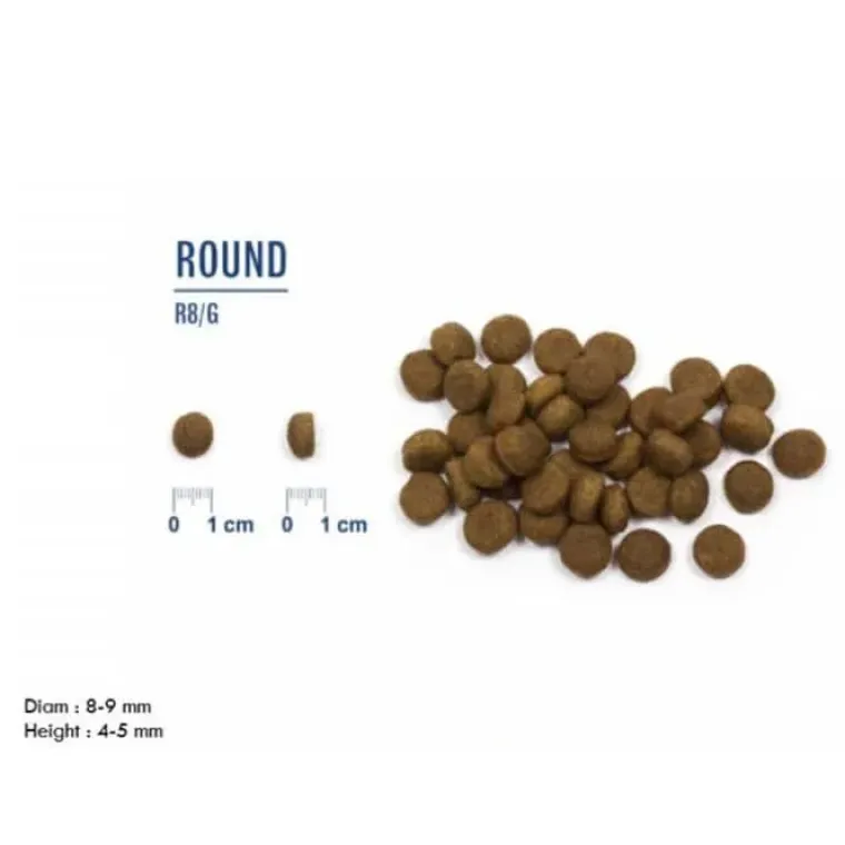 Hundemad^ProBiotic LIVE Hundefoder ProBiotic Live Mini Breeds Adult Laks | Tørfoder