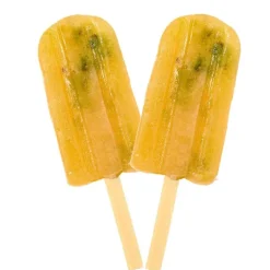 ☀️Sommerklar|Hundeferien^Pup Ice Pup Fun Smoothie is | Kiwi 2stk
