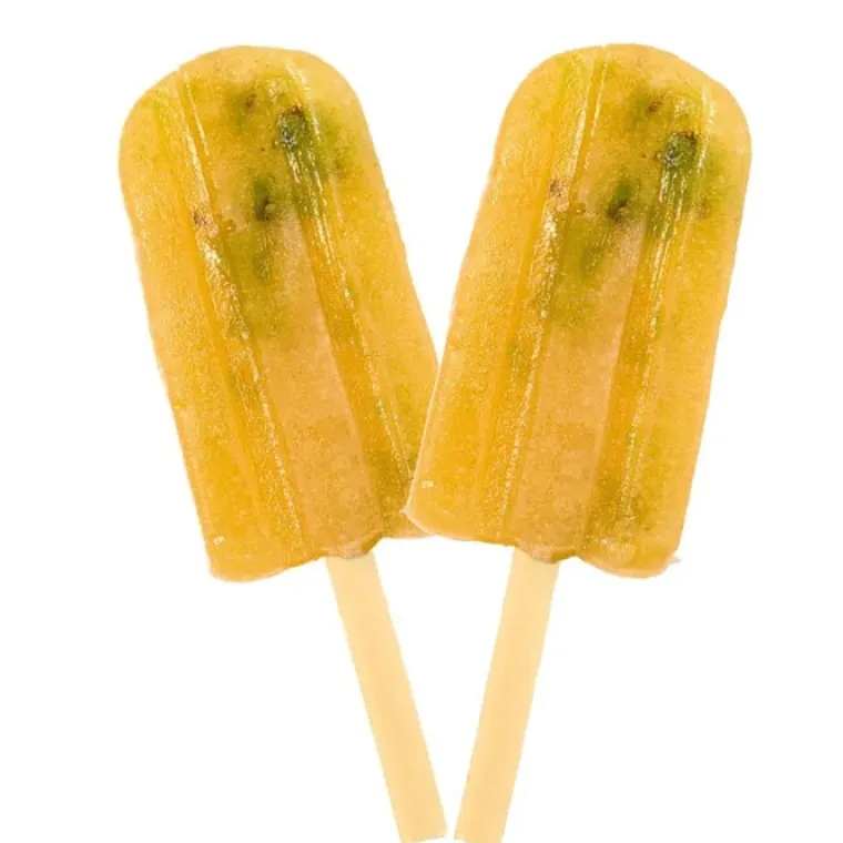 ☀️Sommerklar|Hundeferien^Pup Ice Pup Fun Smoothie is | Kiwi 2stk