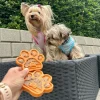 ☀️Sommerklar|Snusemåtter/Slikkeplader^Pup Ice Pup Fun Spiselig slikkeplade | Mango 2 stk.