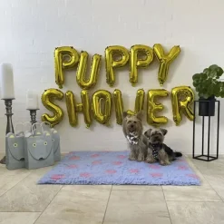 Puppy Shower Party^Ollipet Puppy Shower Ballon | OUTLET