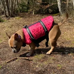 ☀️Sommerklar|Hundeferien^Ollipet Redningsvest til små hunde
