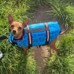 ☀️Sommerklar|Hundeferien^Ollipet Redningsvest til små hunde