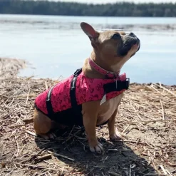 ☀️Sommerklar|Hundeferien^Ollipet Redningsvest til små hunde