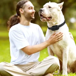 Hundehalsbånd^Ollipet Remote Dog Trainer | Lydighedstræner