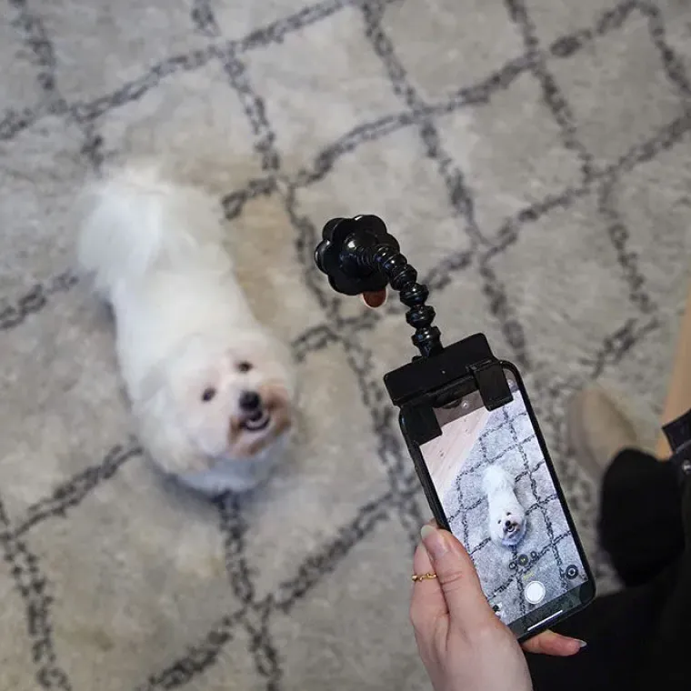 Gaveidéer Til Hundeelskeren|Nytårskurven^Cotonshoppen Selfiestang til hunde